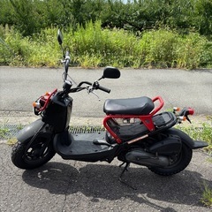 ホンダ　ズーマー50 キャブ車両　実働車両の画像