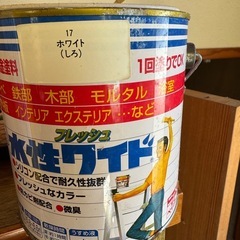塗料2個セットの画像