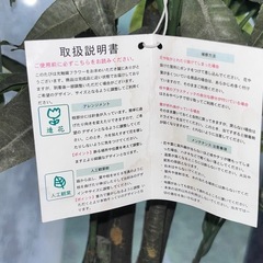 光触媒　フェイクグリーンの画像