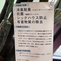 光触媒　フェイクグリーンの画像