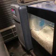 業務用生簀
の画像