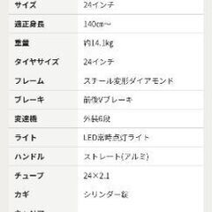 CORE Purse Jr 24インチの画像