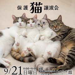 🐱ねこまる🐈保護猫譲渡会🐈‍⬛🐾ファミーユ尾ノ上ホール🏠