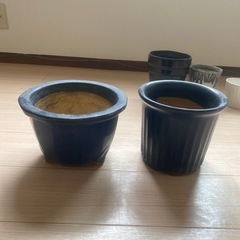 値下げ！！鉢5点セットの画像