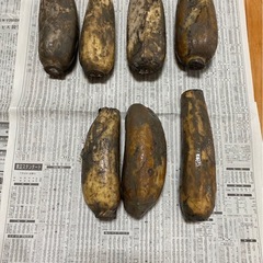 【福富産蓮根】1キロ　規格外品　格安です　発送も相談にのりますの画像