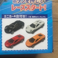 ロングスピードキャリアカーの画像