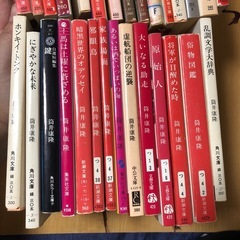 筒井康隆39冊まとめ売りの画像