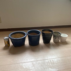 値下げ！！鉢5点セットの画像