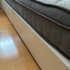 お譲り先決まりました🙏　の画像