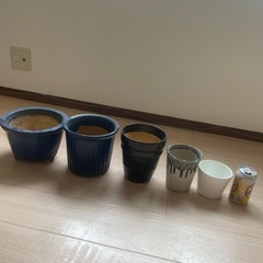 値下げ！！鉢5点セットの画像
