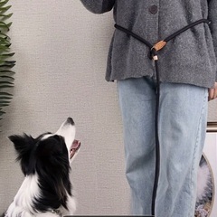 手ぶらでリードの画像