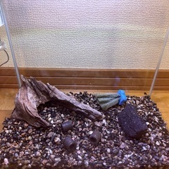 程度良い水槽の画像