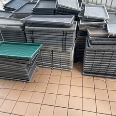 育苗トレー　稲用　100個以上の画像