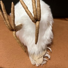 フクロウの画像