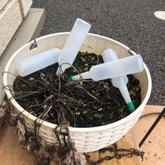 プランター　培養土の画像