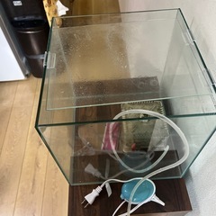 本日、９月２０日のみ1000円！30センチキューブ水槽　 45センチ水槽台　エアーポンプのセットの画像
