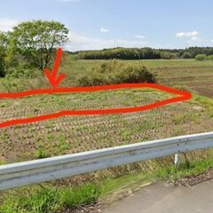 農業者限定　土浦竜ヶ崎線沿いの水田１９７㎡（59坪）