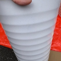 【プラスチック植木鉢】8号⑥の画像