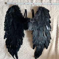 黒い羽根 天使の羽 コスプレの画像