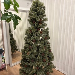 2024年度　Alsace アルザス クリスマスツリー 180 cmの画像