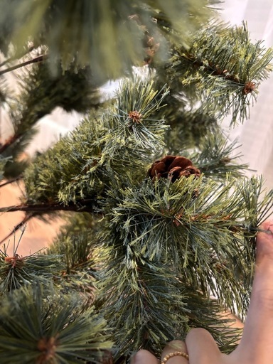 2024年度Alsace アルザス クリスマスツリー 180 cm (やま) センター南