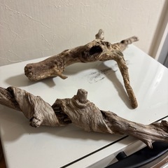流木セットの画像