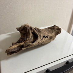 流木セットの画像