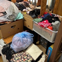 洋服1枚　50円の画像