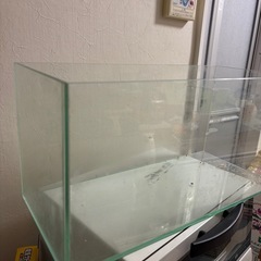 ４５センチ水槽の画像