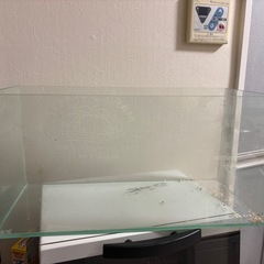 ４５センチ水槽の画像