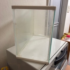 ３０センチ水槽の画像