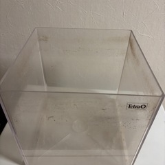 ８センチ水槽の画像