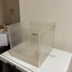 ８センチ水槽の画像