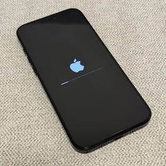 美品　iPhone16ProMax 256GB SIMフリー 現金手渡しのみの画像