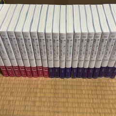 痛いのは嫌なので防御力に極振りしたいと思います 小説 全19巻 + 外伝1の画像