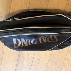 室内バスケットボールとカバーの画像