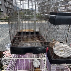 種類豊富 ペット用品 ペット ケージ ゲージ 飼育ケース 飼育ケージ 種類豊富 鳥用 小動物 うさぎ フェレット チンチラ モルモット カラフル インコ オウムの画像