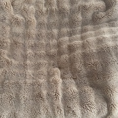 ブランケットの画像