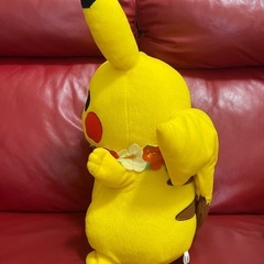 ぬいぐるみの画像