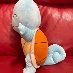 ゼニガメの画像