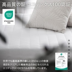 【購入者決定済】マットレス付き セミダブルベッドの画像
