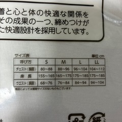 GUNZE 白シャツMサイズの画像
