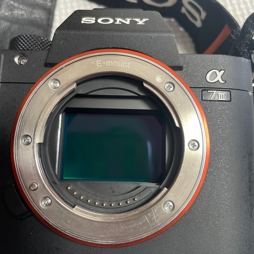 SONY a7III【最終価格早い者勝ち！】