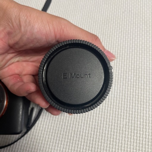 SONY一眼レフ レンズ