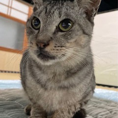 おっとりマイペースな2歳の男の子💕