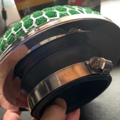 毒キノコの画像