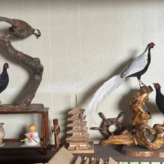 キジ？鶴？鳥の剥製の画像