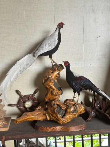 キジ？鶴？鳥の剥製