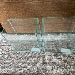 水槽の画像