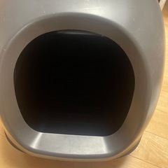 猫　トイレの画像
